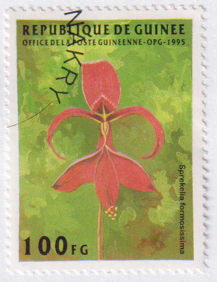 Stamp Thematic Flowers ULM Guinea