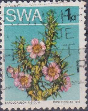 Stamps SWA 1973 Desert Plant