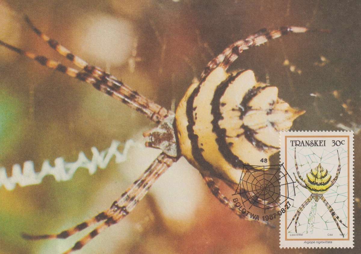 Post Cards / Maxi Card Not used