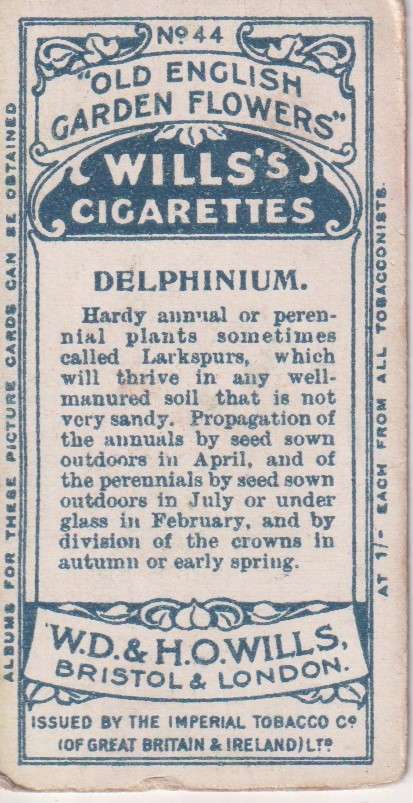 Cigarette Card Old English Garden Flower No. 44