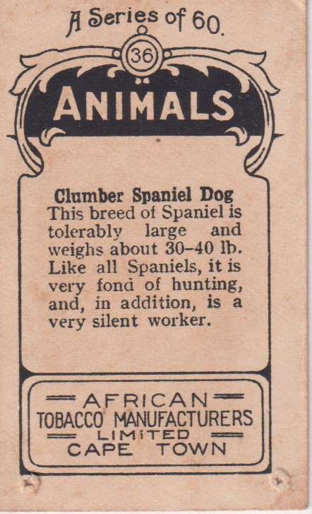 Cigarette Card  Africa Tabaco manufactures Limited Cape Town Animal  36