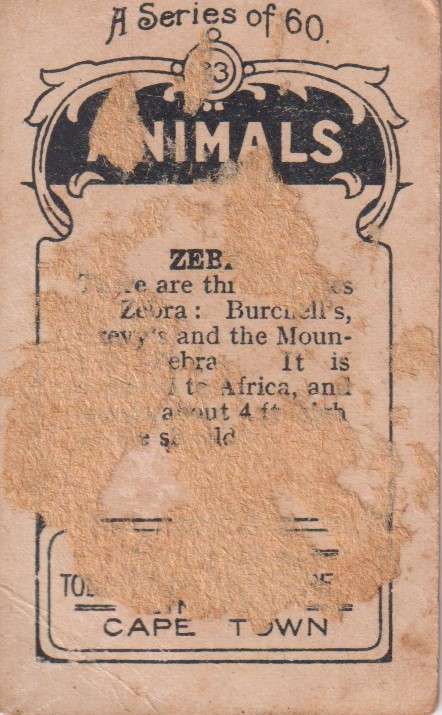 Cigarette Card  Africa Tabaco manufactures Limited Cape Town Animal  33