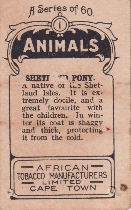 Cigarette Card  Africa Tabaco manufactures Limited Cape Town Animal 1