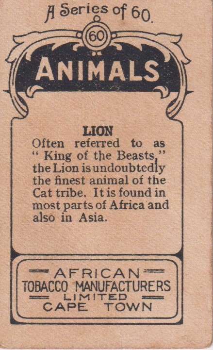 Cigarette Card  Africa Tabaco manufactures Limited Cape Town Animal 60