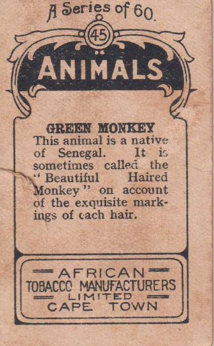 Cigarette Card  Africa Tabaco manufactures Limited Cape Town Animal 45