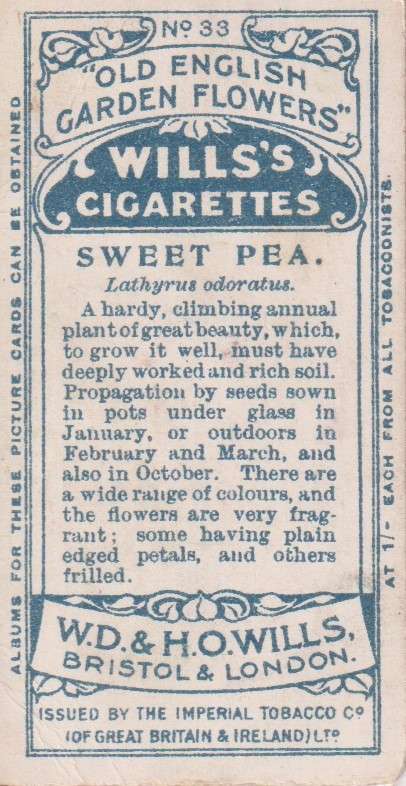 Cigarette Card Old English Garden Flower No. 33