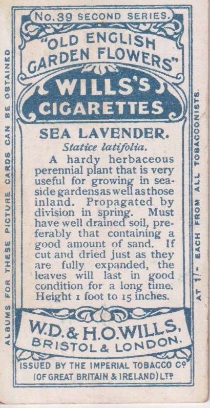 Cigarette Card Old English Garden Flower No. 39