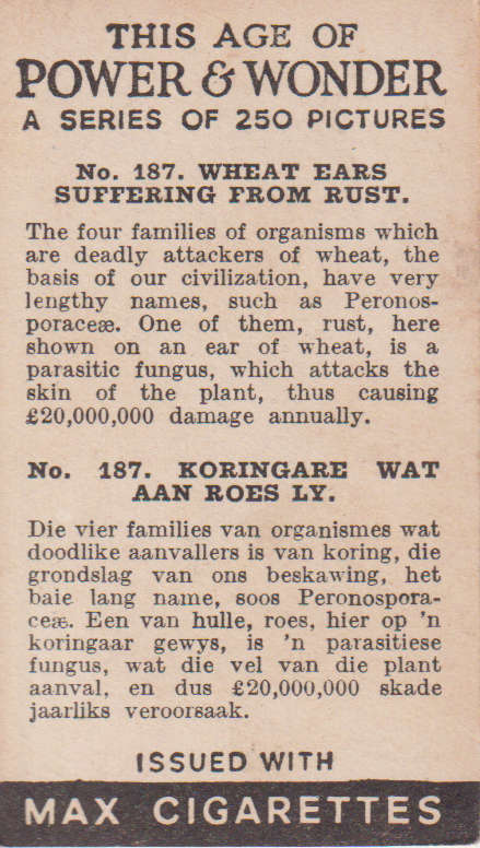 Cigarette Card This Age of Power & Wonder No. 187
