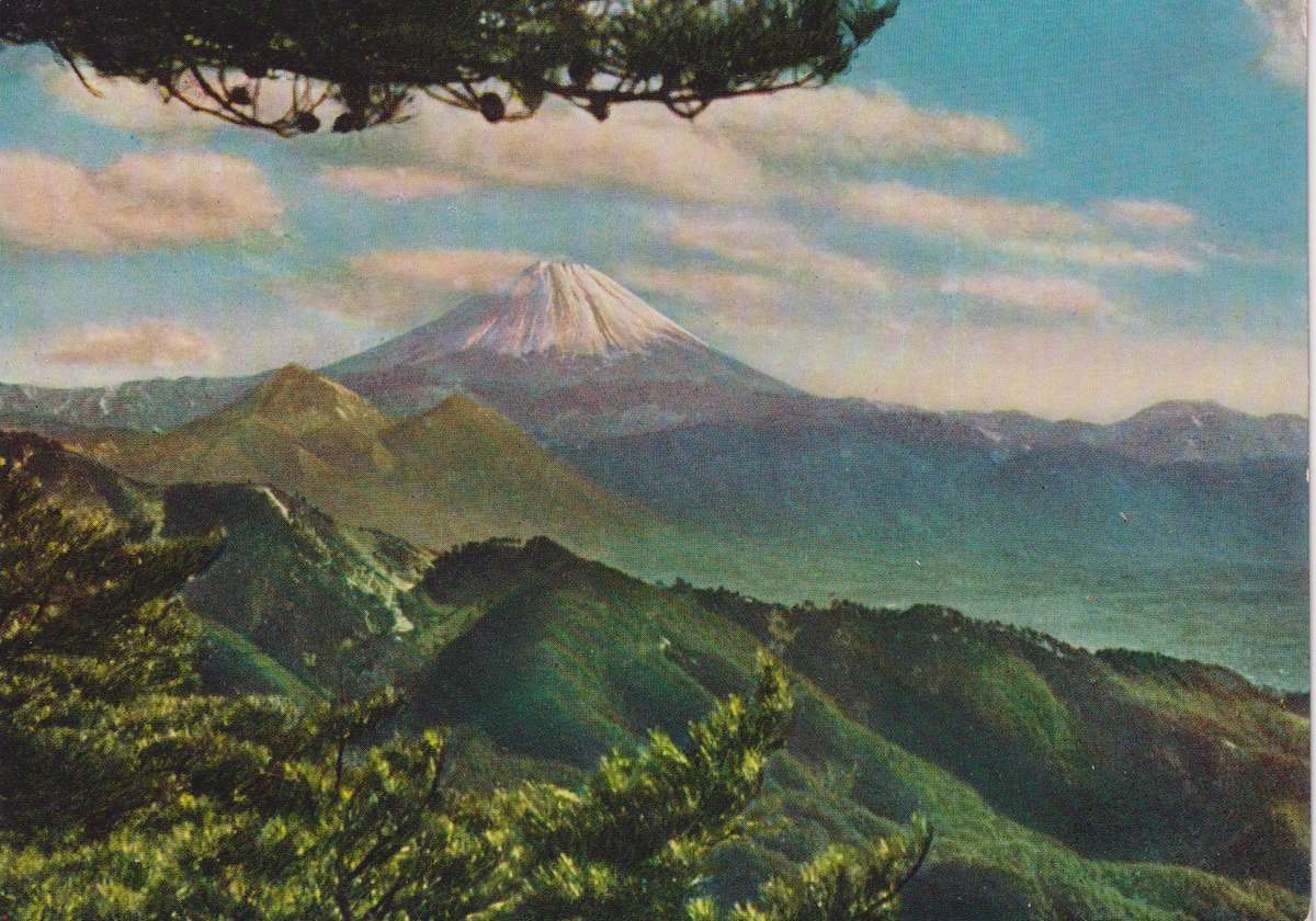 Post Cards / Maxi Card used