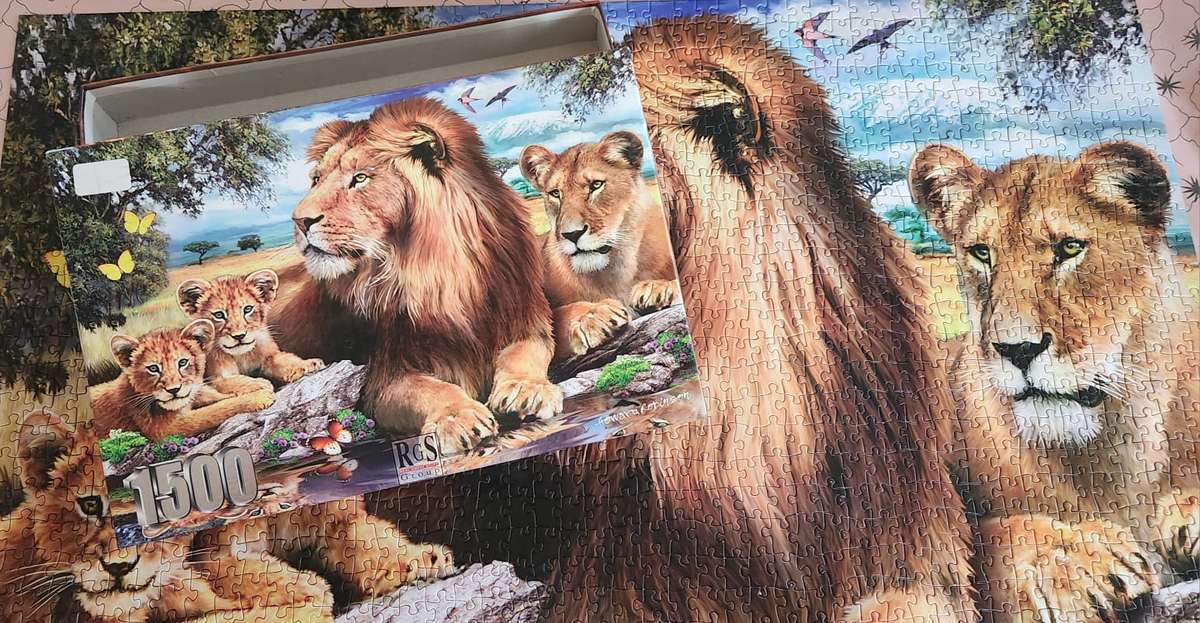 Puzzle - Lions