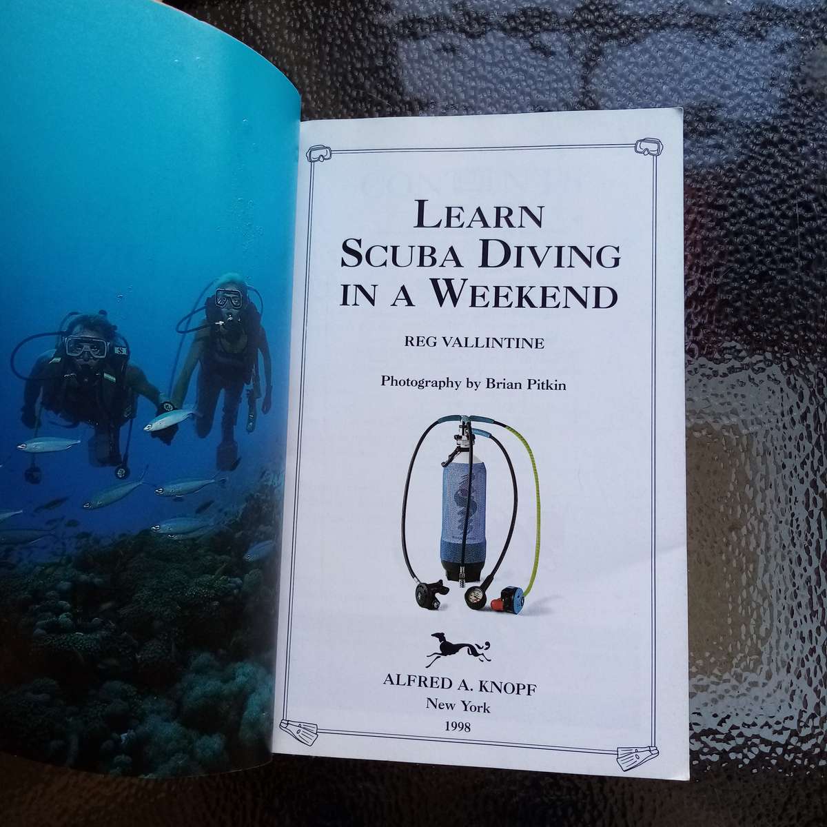 Learn Scuba Diving in a Weekend  Your Quick Guide to Underwater Adventure