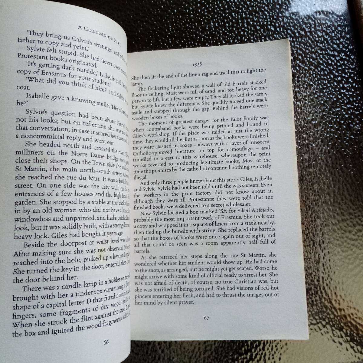 A Column of Fire by Ken Follett - Epic Historical Fiction Set in Turbulent Times