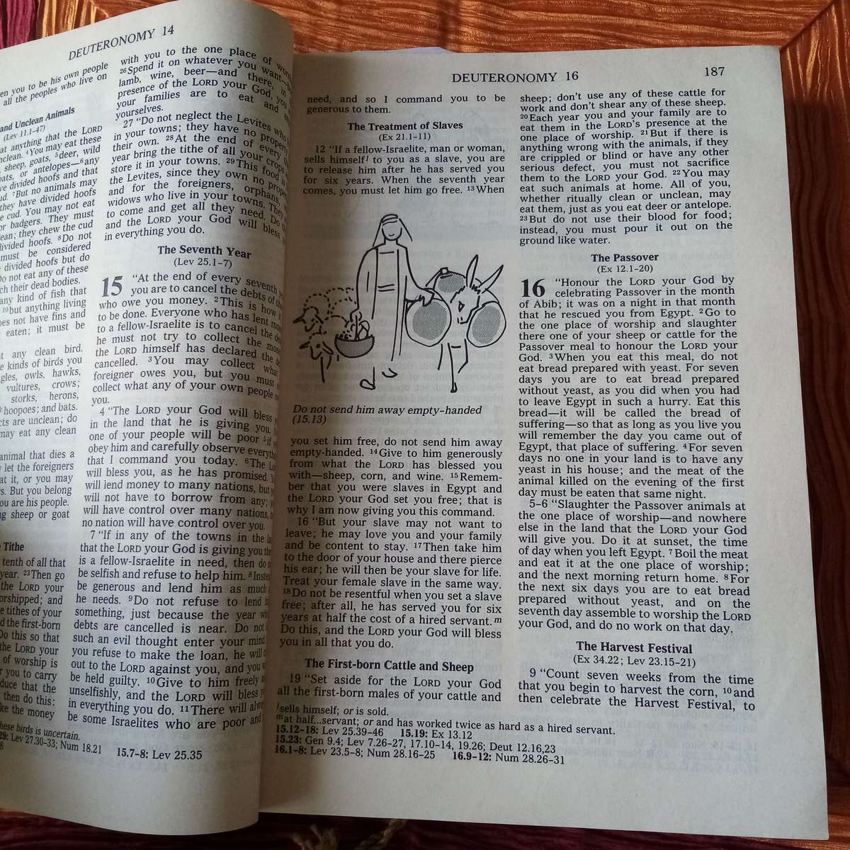 Bible: Holy Bible - Good News Edition (1985) | Accessible Scripture for Everyone