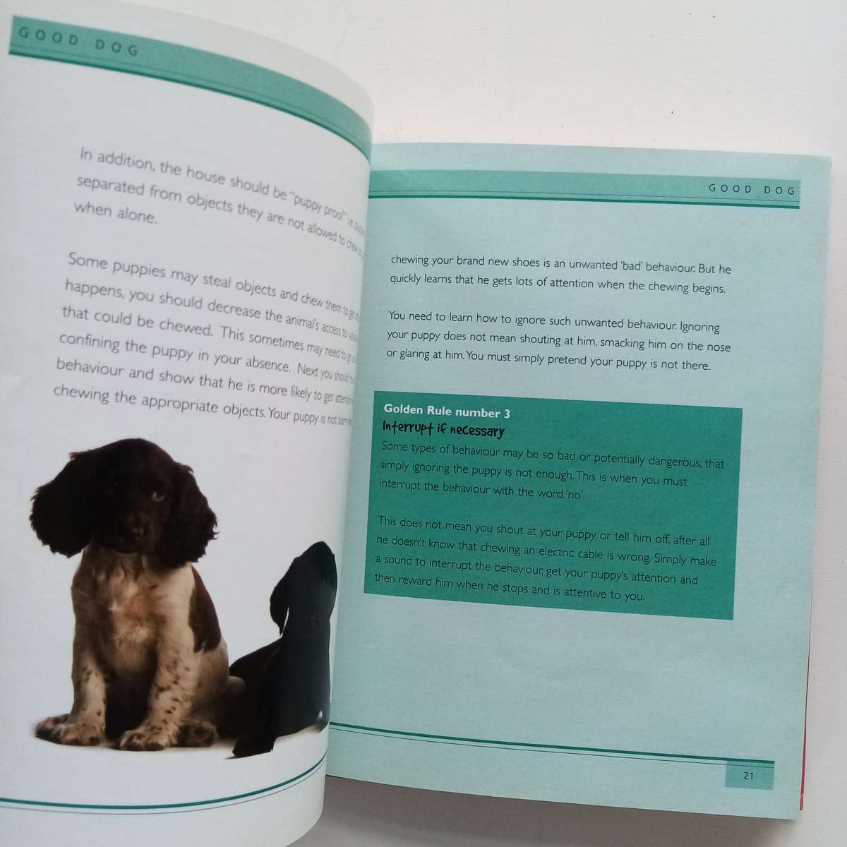 Puppies by Alison Jones: Giving Your Pet the Best Start in Life
