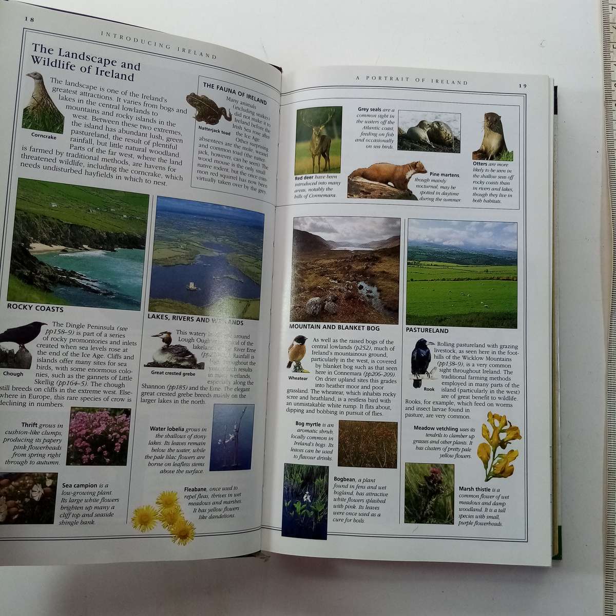 DK Ireland (Travel Guide)