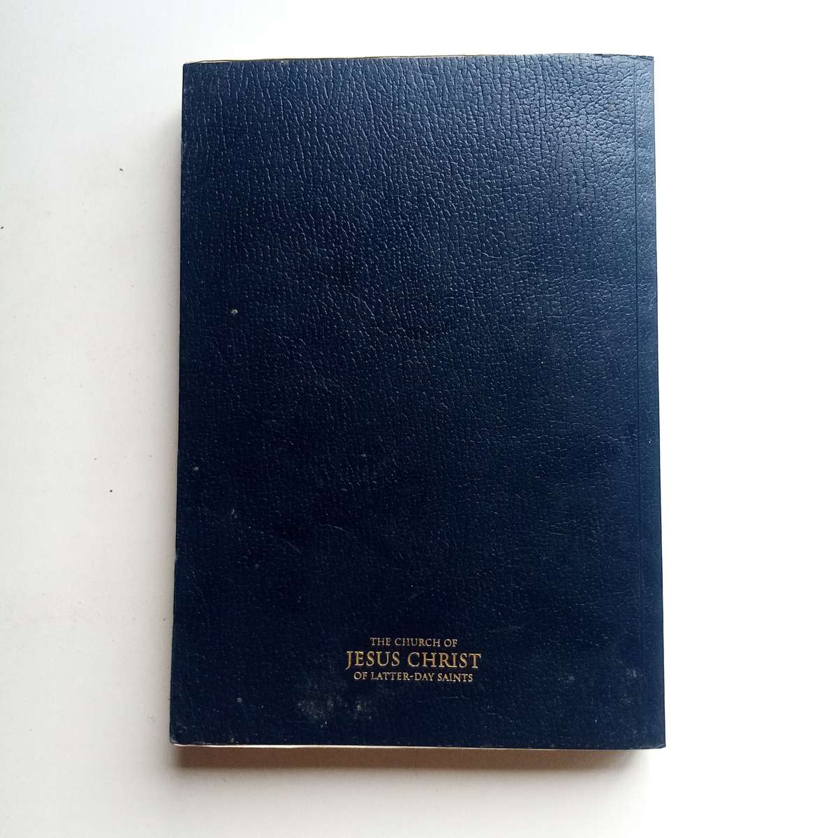 The Book of Mormon: Another Testament of Jesus Christ