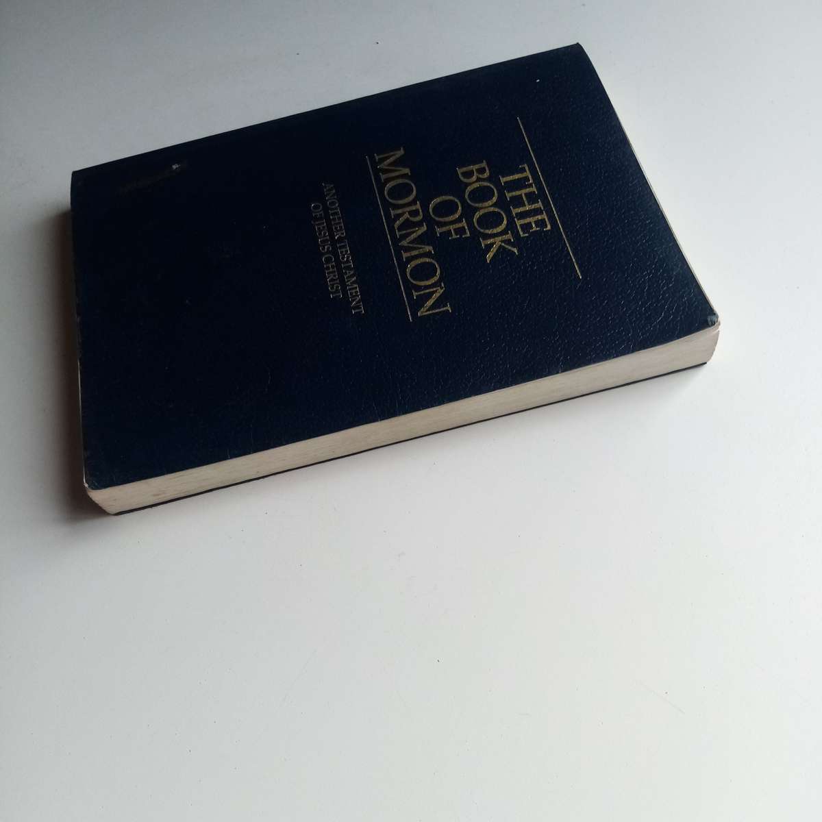 The Book of Mormon: Another Testament of Jesus Christ