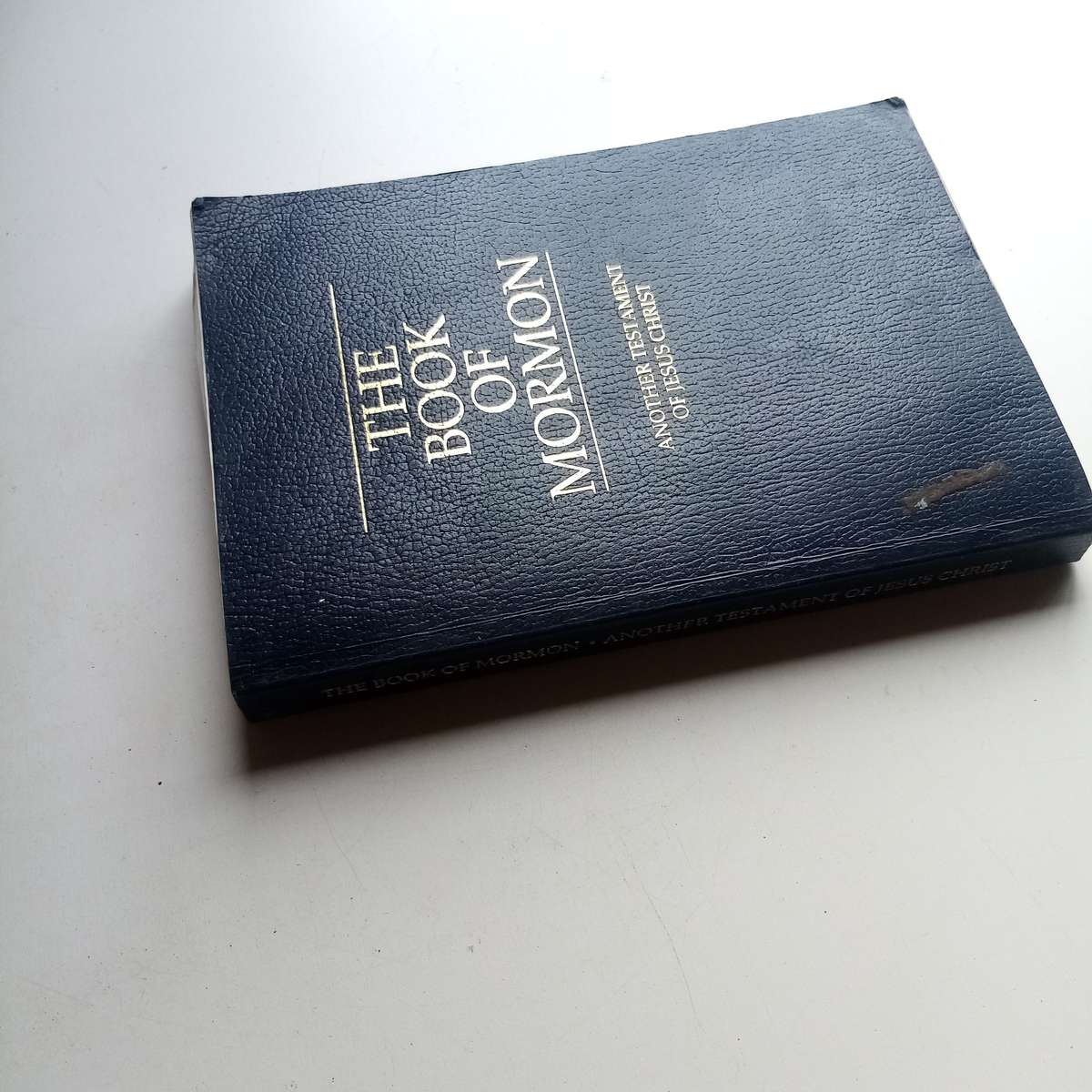 The Book of Mormon: Another Testament of Jesus Christ