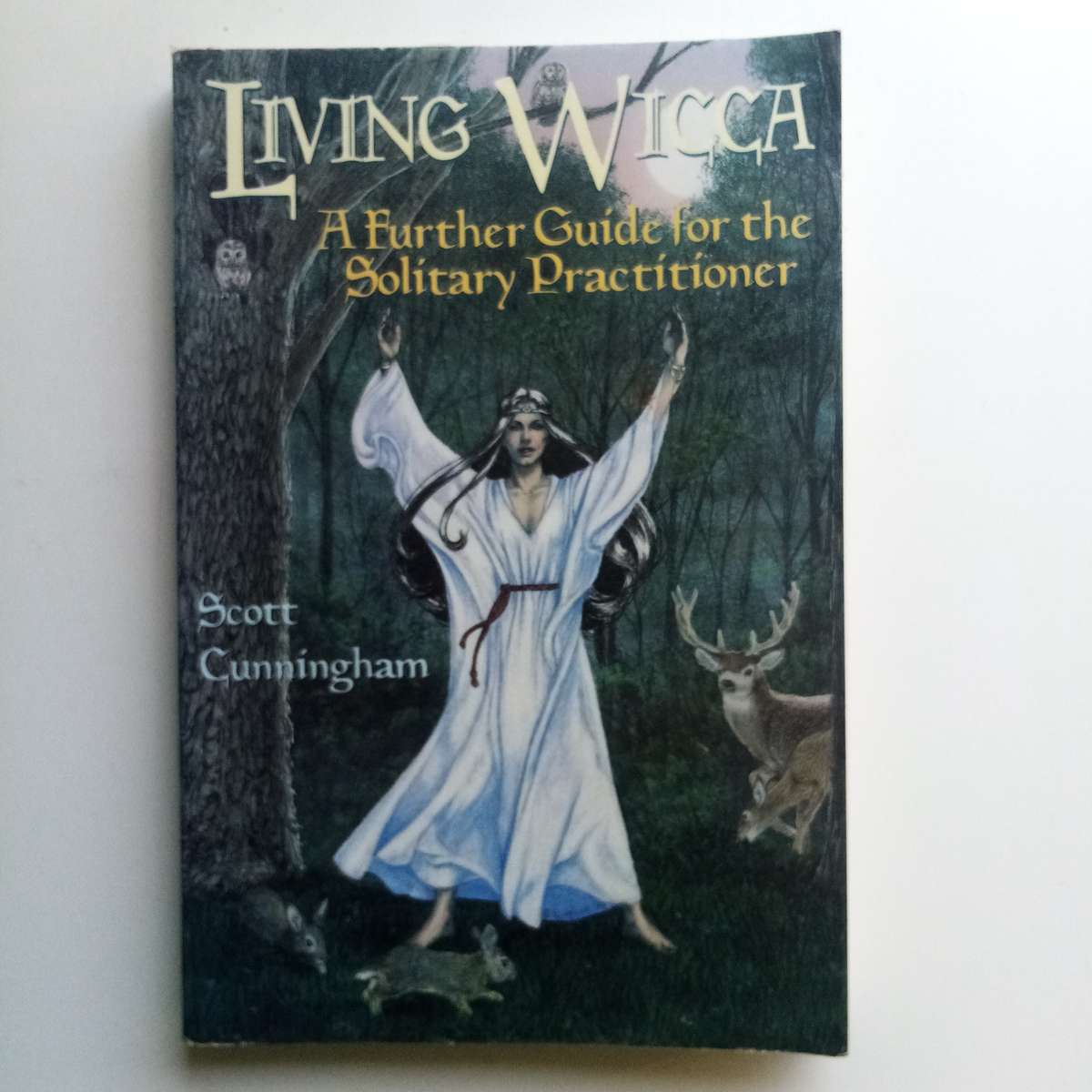 Living Wicca by Scott Cunningham, Guide for Solitary Practitioners, Rituals, Symbols, Initiation
