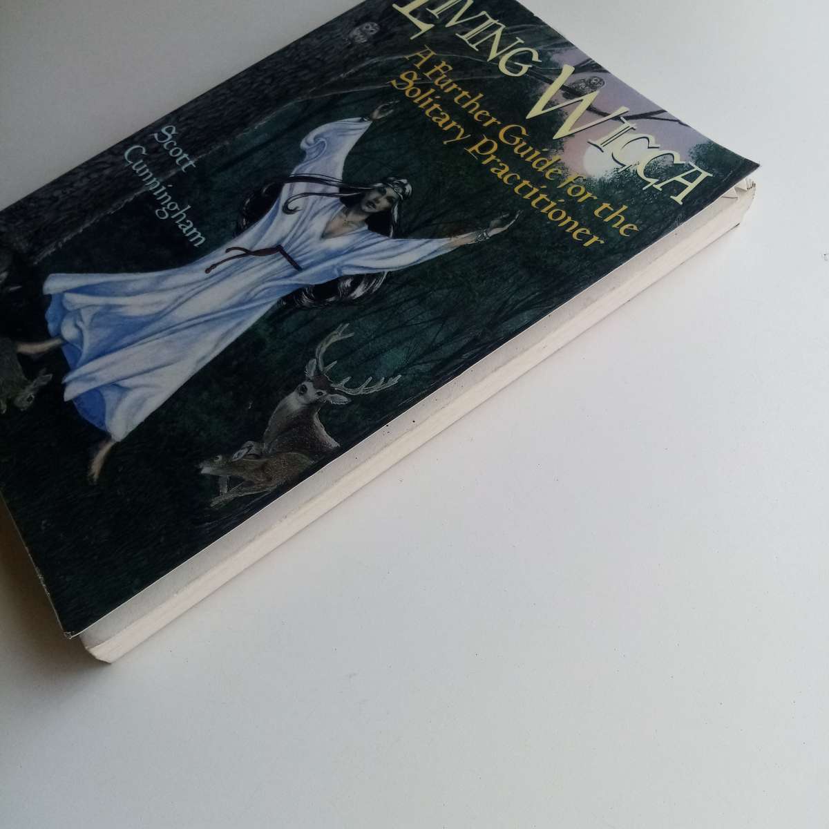 Living Wicca by Scott Cunningham, Guide for Solitary Practitioners, Rituals, Symbols, Initiation