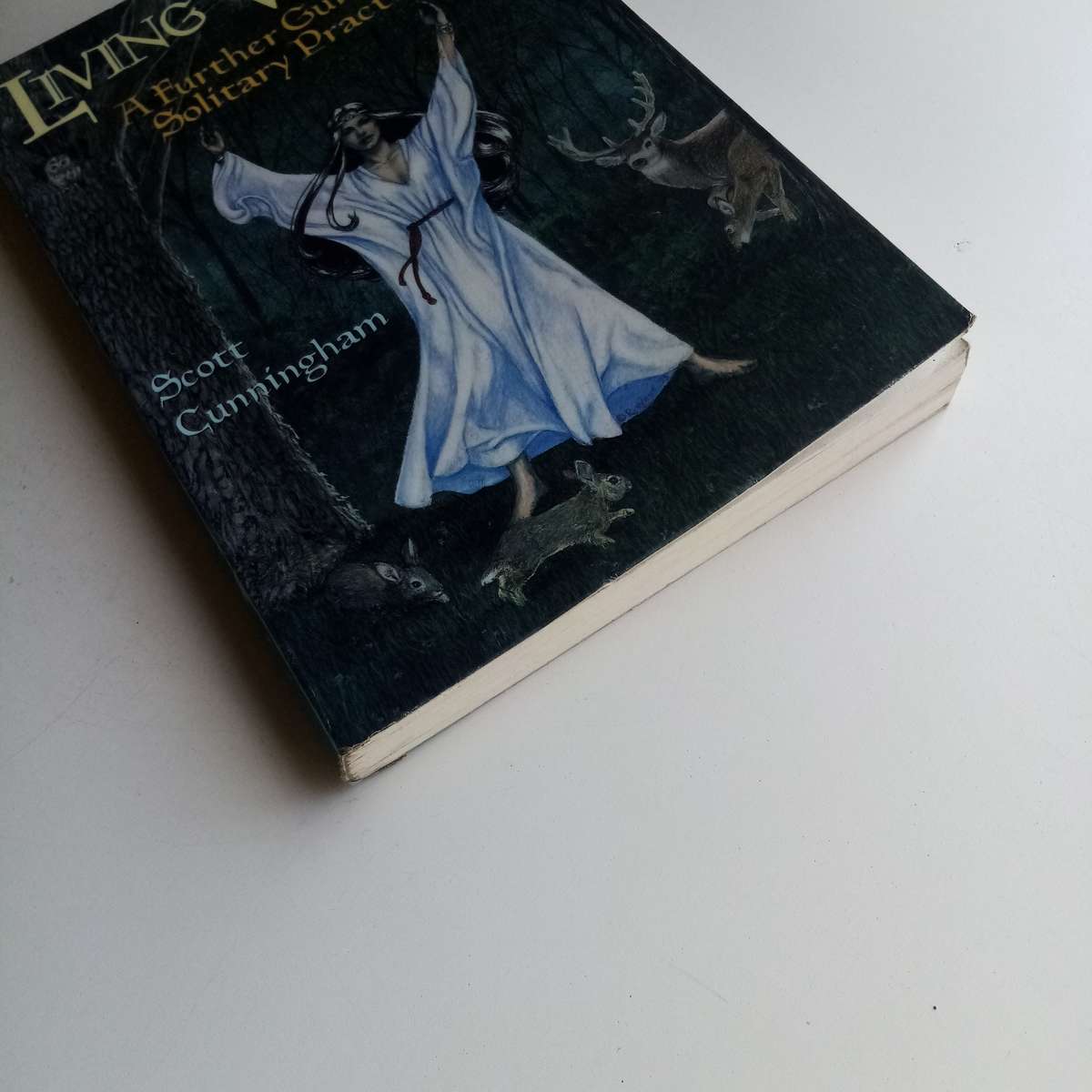 Living Wicca by Scott Cunningham, Guide for Solitary Practitioners, Rituals, Symbols, Initiation