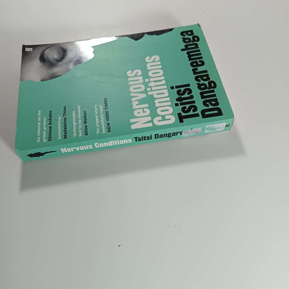 Nervous Conditions by Tsitsi Dangarembga | Zimbabwean Classic, Postcolonial Bildungsroman