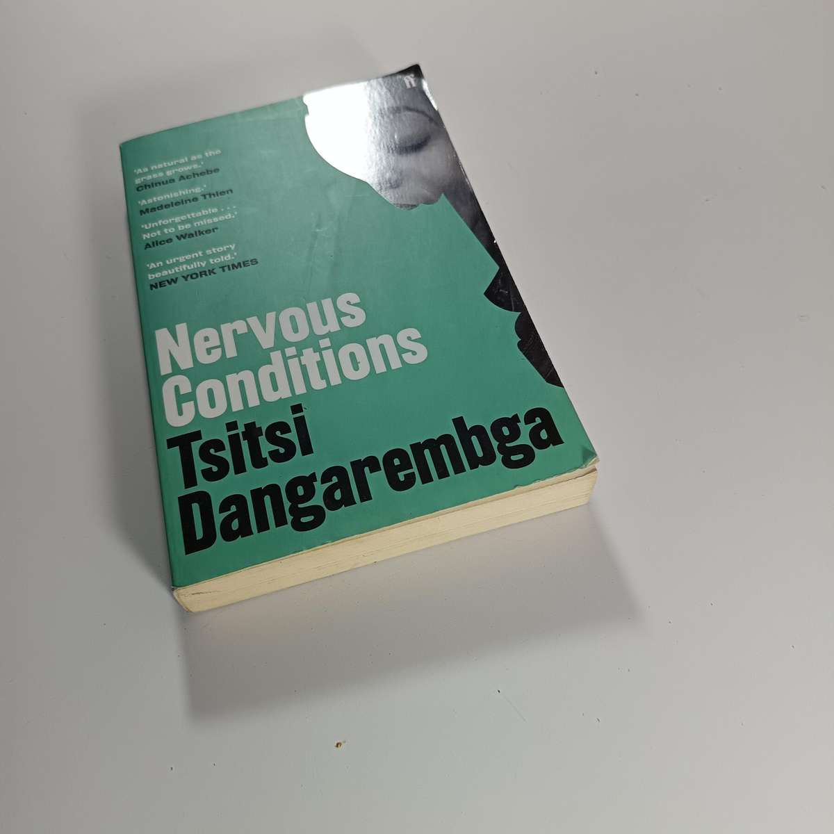 Nervous Conditions by Tsitsi Dangarembga | Zimbabwean Classic, Postcolonial Bildungsroman