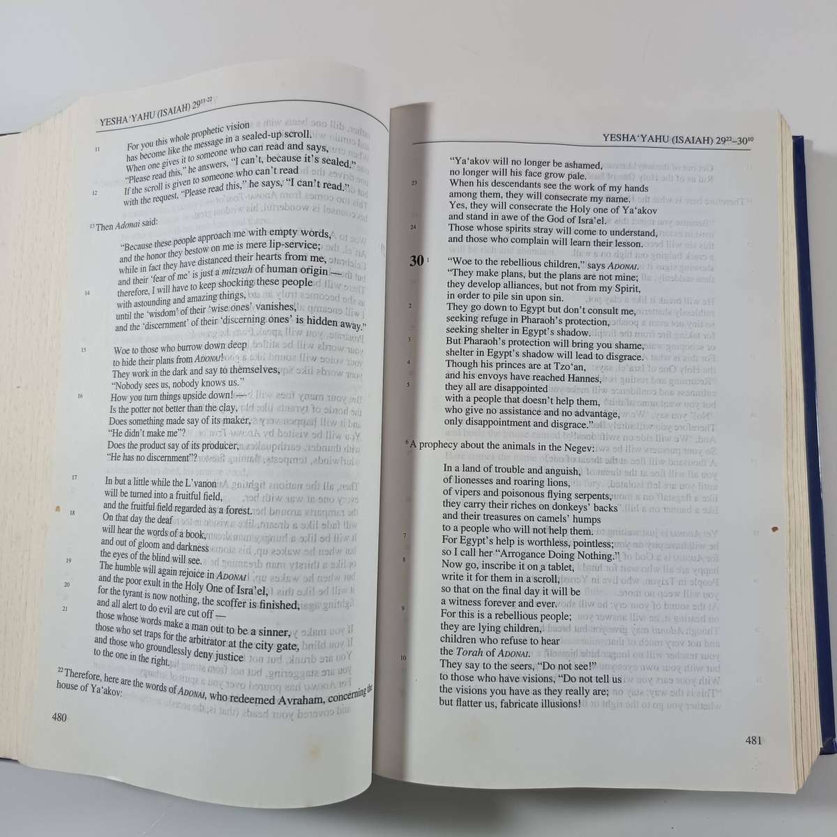 Complete Jewish Bible  David H. Stern | Tanakh & Brit Hadashah, English Version