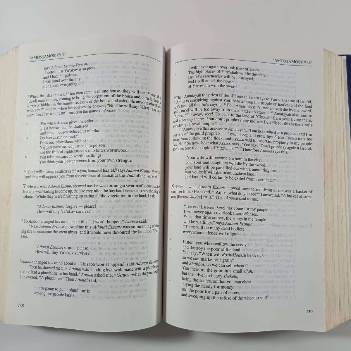 Complete Jewish Bible  David H. Stern | Tanakh & Brit Hadashah, English Version