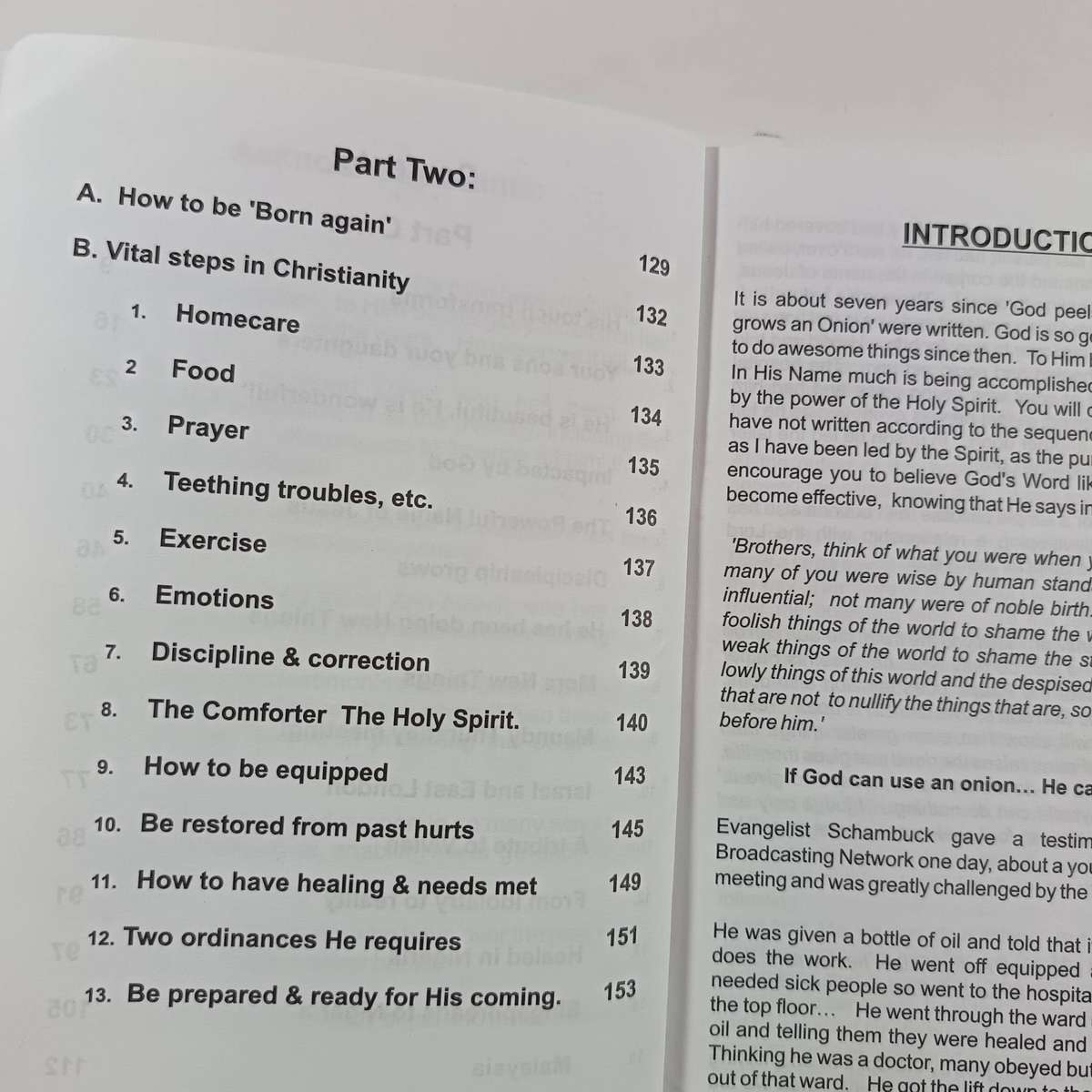 God Blesses an Onion by Maureen Onions | Faith, Inspiration, Christian Living