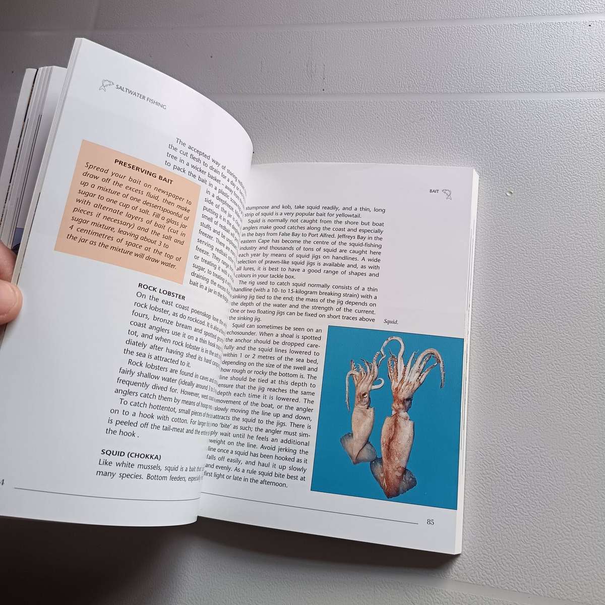 Saltwater Fishing in South Africa" by Hennie Crous - Expert Guide to Marine Angling