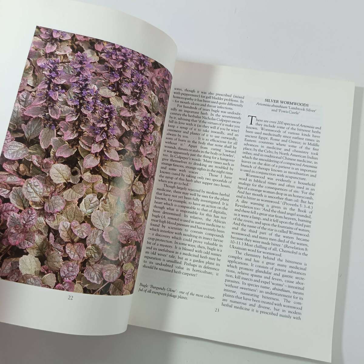 Ornamental Herbs for Your Garden by Deni Bown | Cultivation, History & Uses