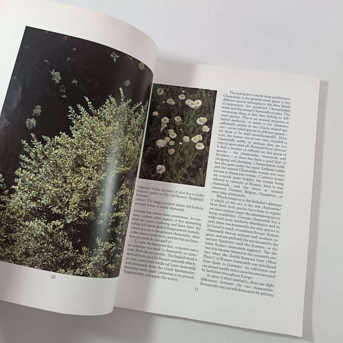 Ornamental Herbs for Your Garden by Deni Bown | Cultivation, History & Uses