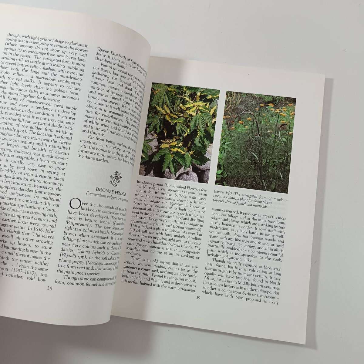 Ornamental Herbs for Your Garden by Deni Bown | Cultivation, History & Uses