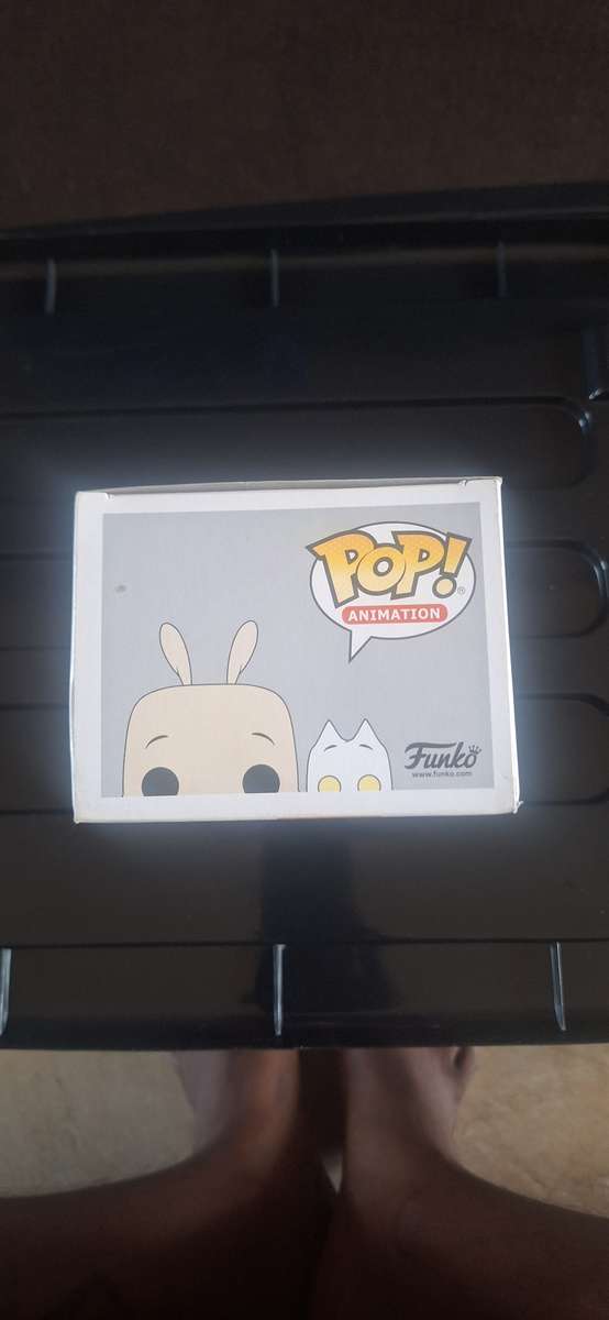 Rocks and spunky chase 310