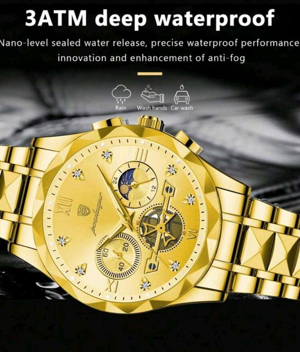 LIMITED EDITION Poedagar mens luxury watch