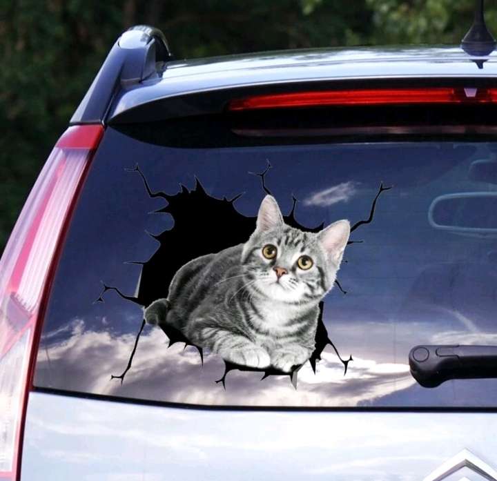 CAT STICKER