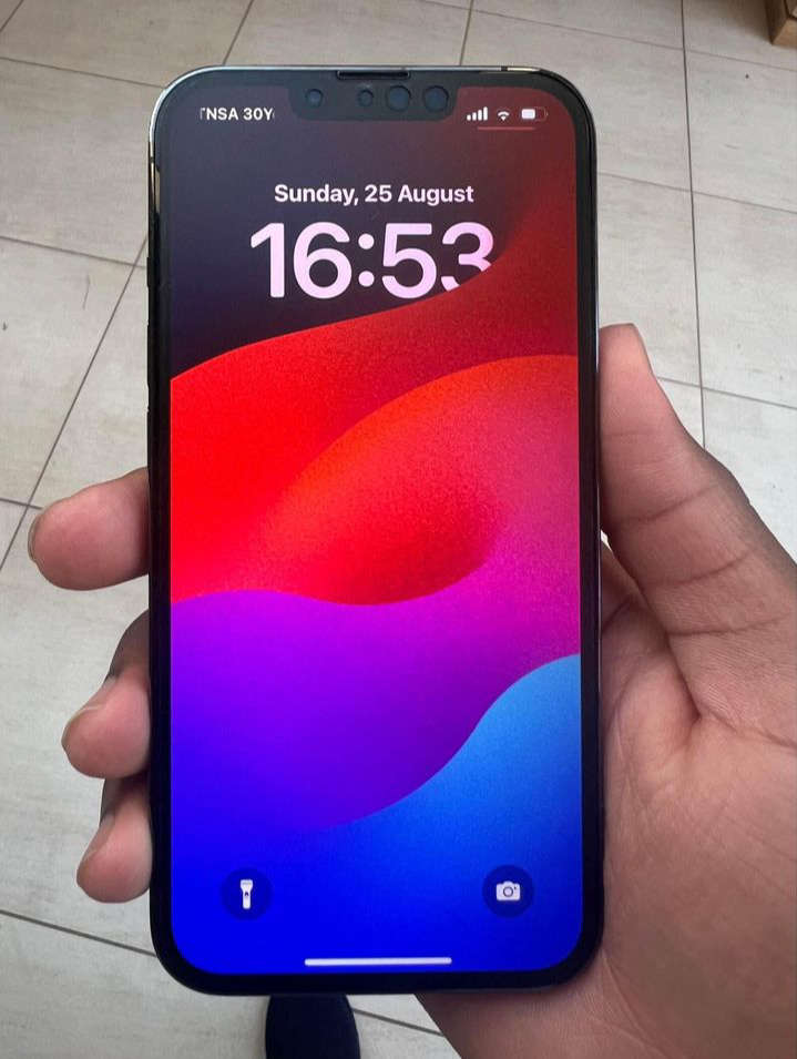 Apple iphone 13 Pro max