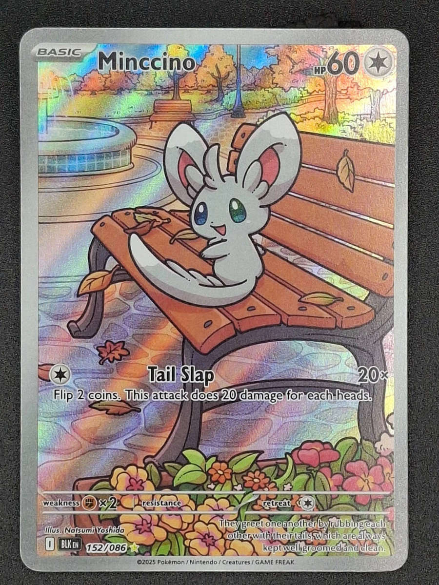 Minccino Illustration Rare Pokemon Card Black Bolt 152/086 - Mint
