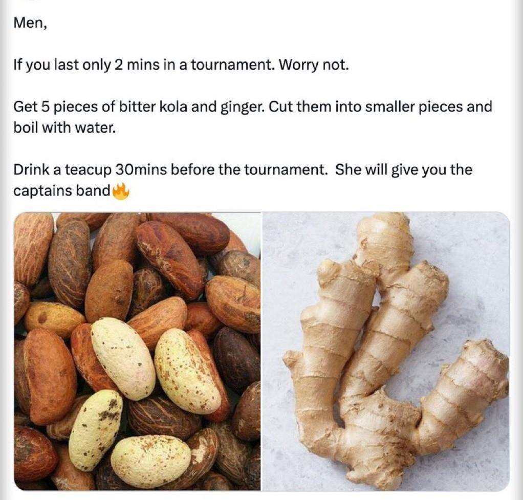 Bitter Kola Nuts