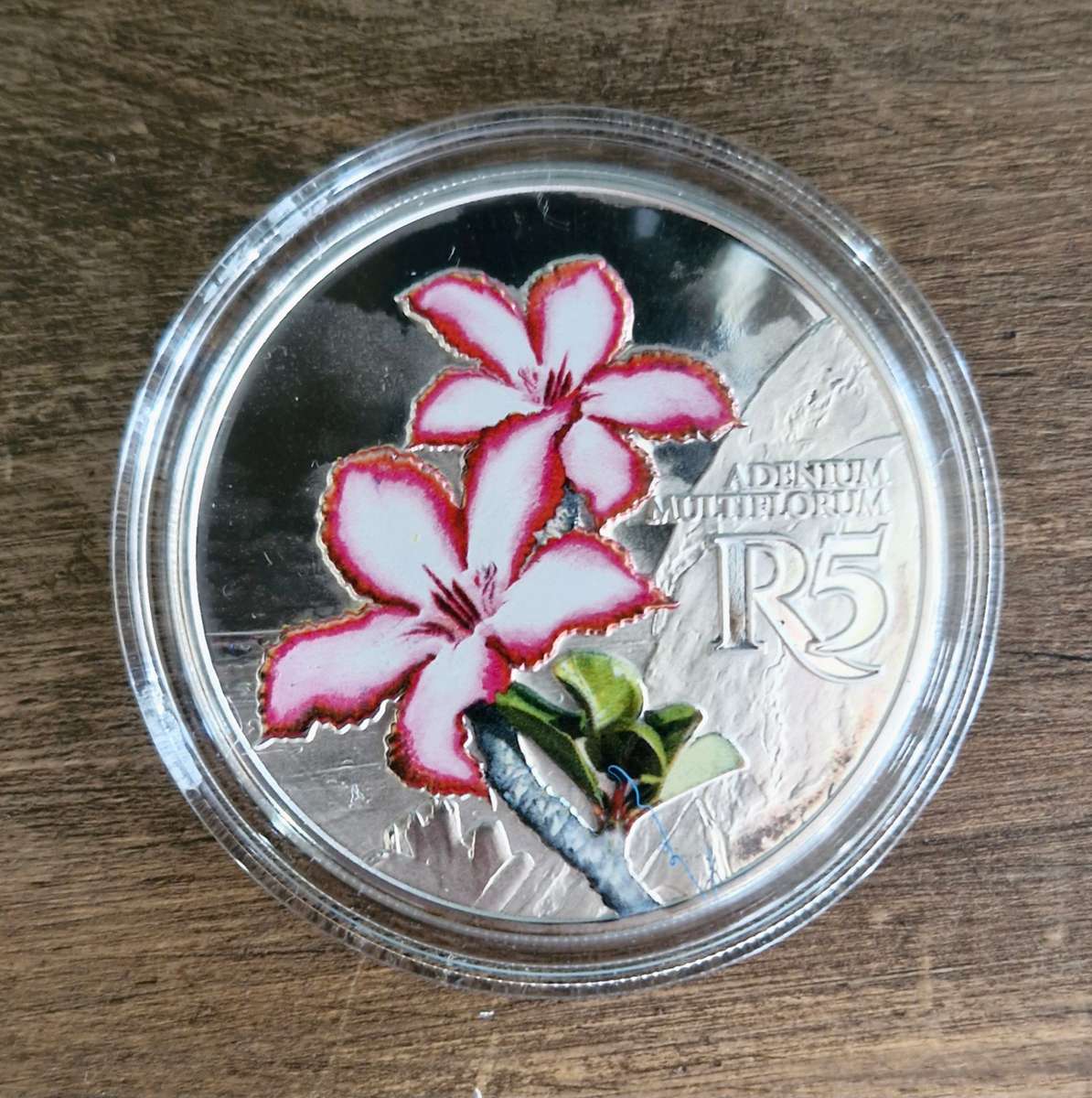 2019 Man and the Biosphere: Kruger to Canyons Biosphere Reserve IMPALA LILY R5