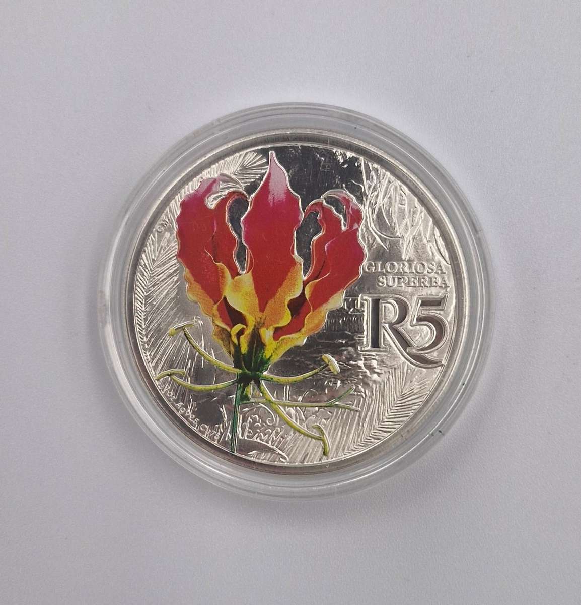 2019 Man and the Biosphere: Kruger to Canyons Biosphere Reserve AFRICAN FLAME LILY R5