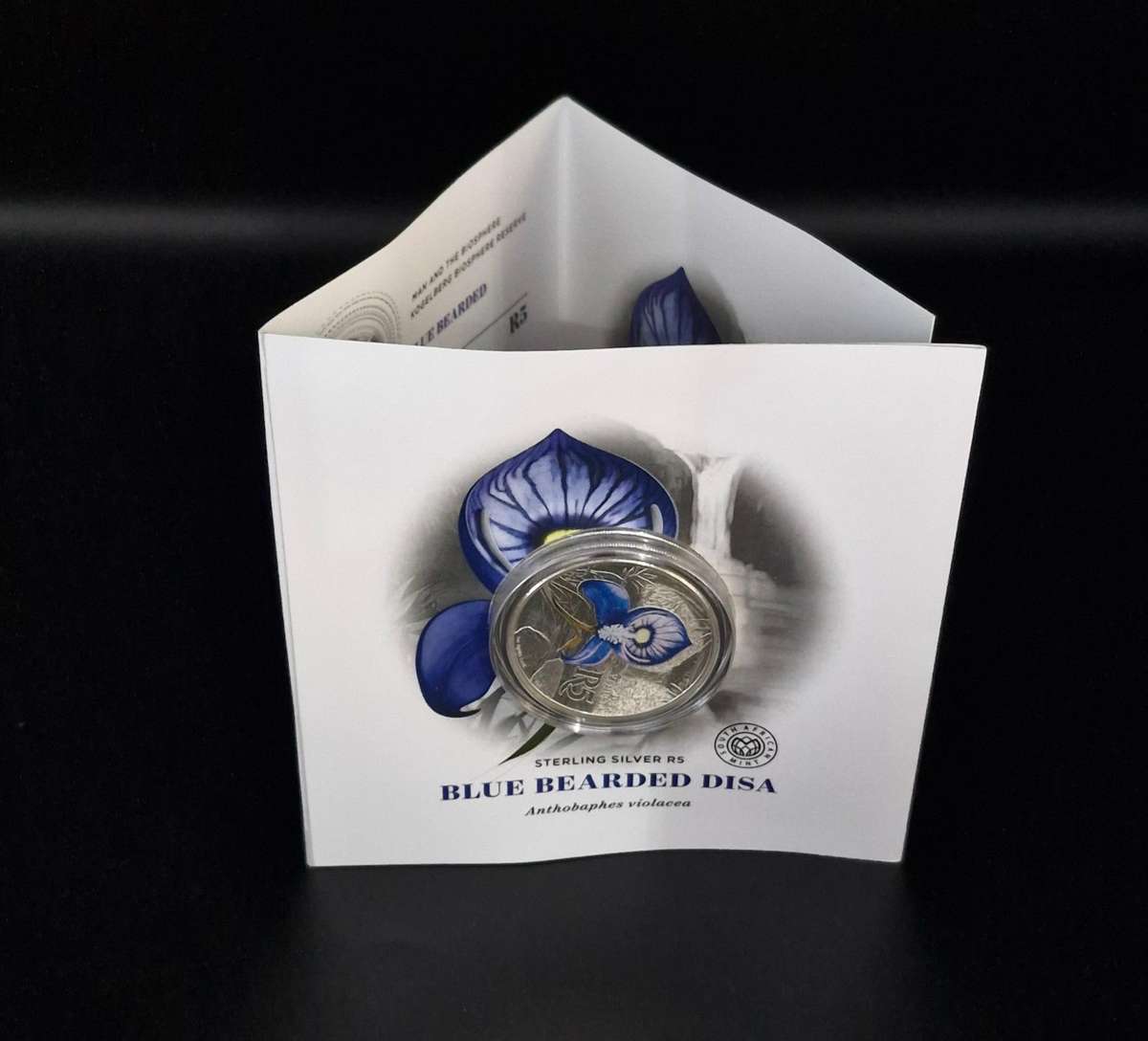 2016 Man and the Biosphere: Kogelberg Biosphere reserve: R5 Silver Blue Bearded Disa