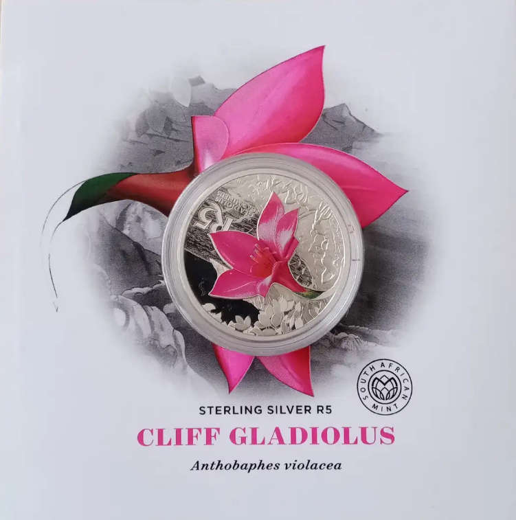2016 R5 Man of the Biosphere Koggelberg Biosphere Reserve Cliff Gladiolus: Gladiolus carmineus