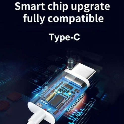 High-Resolution Type-C Earphones