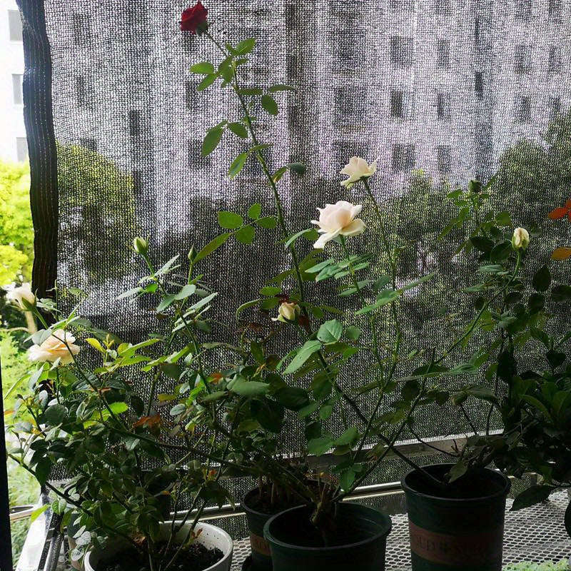 Uv-Resistant Black High-Density Polyethylene Sunshade Net