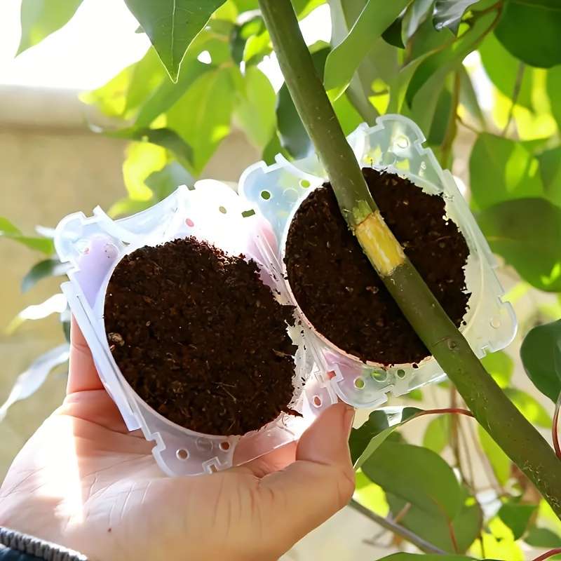 10-Piece Plant Root Growth Box
