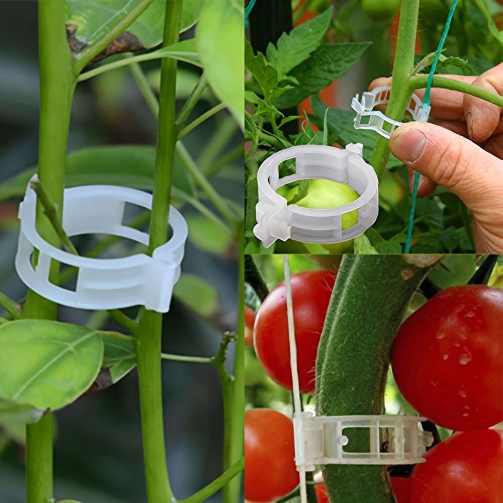 30 Pieces Tomato Clip