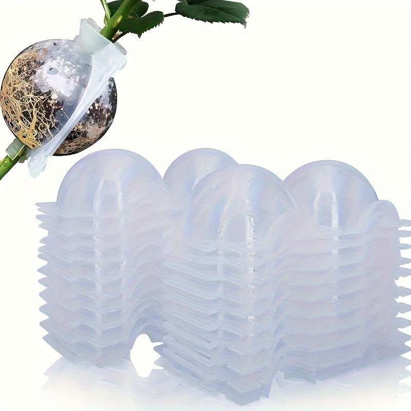 10-Piece Plant Root Growth Box