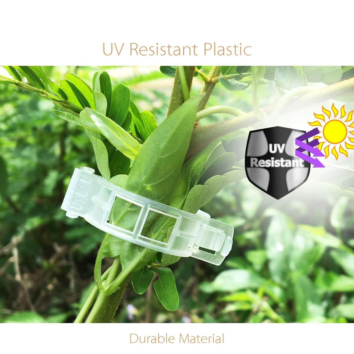 30 Pieces Tomato Clip